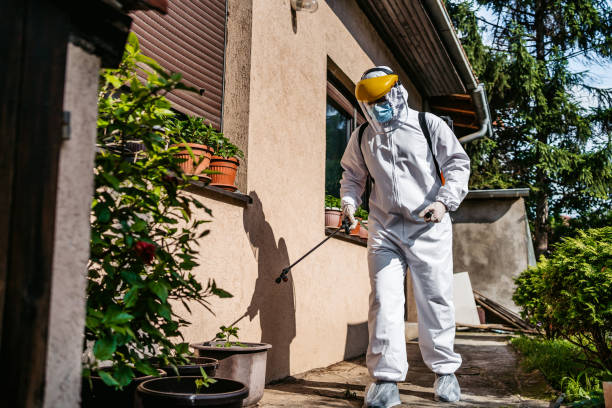 Best Mosquito Control Services  in Navy, VA