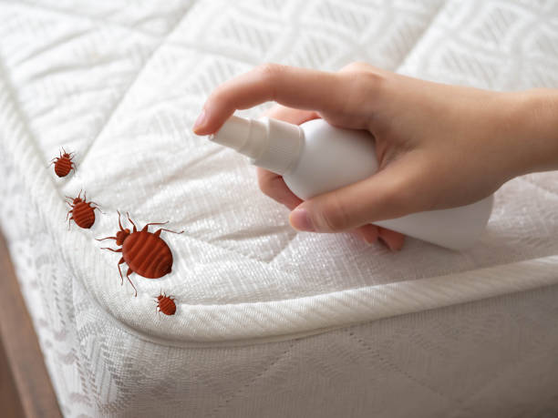 Best Pest Removal Services  in Navy, VA